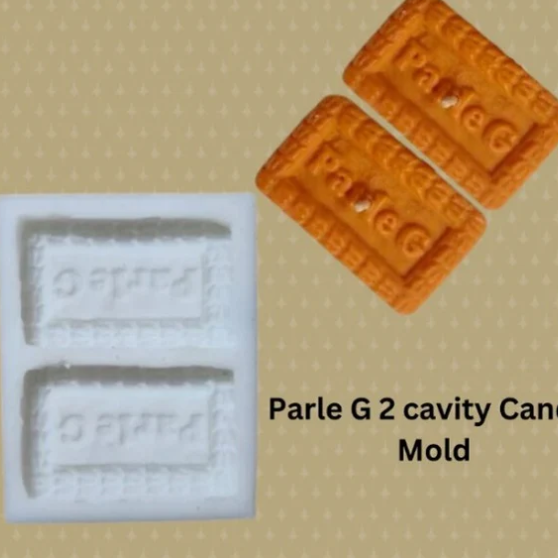 2 Cavity Pasle G Mould 0117
