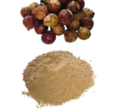 ARETHA/SOAPNUT POWDER 100G