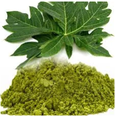 PAPAYA LEAF POWDER 100G