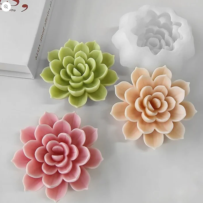Lotus/Rose Succulent 0119