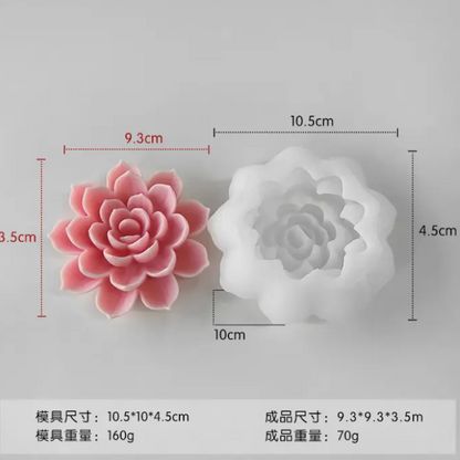 Lotus/Rose Succulent 0119