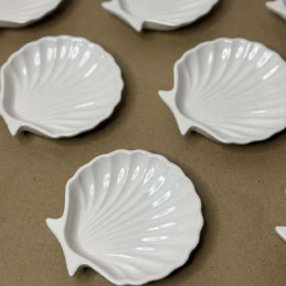 Ocean Shell Jar 40ML