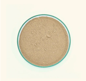 SHIKAKAI POWDER 100G