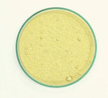 ORANGE PEEL POWDER 100G