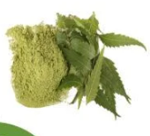 NEEM POWDER 100G