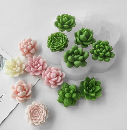 7 Cactus Combo Mould 0021