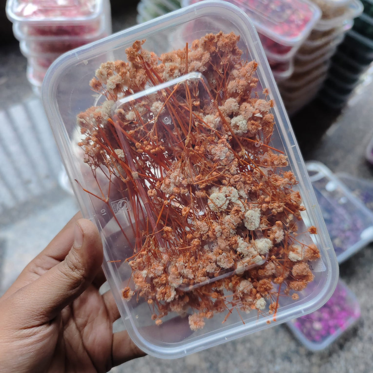BABY BREATH BOX