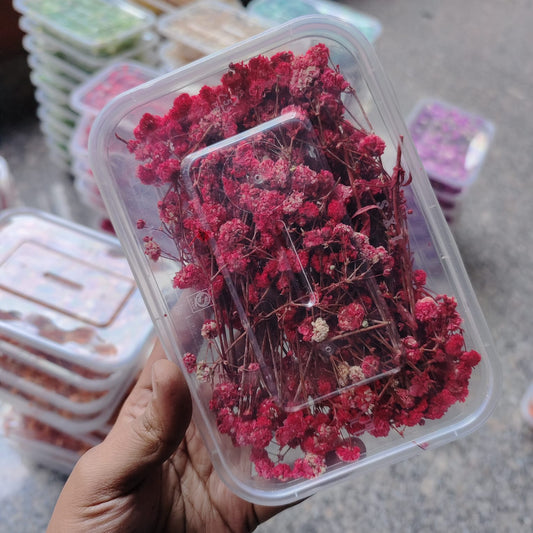 BABY BREATH BOX