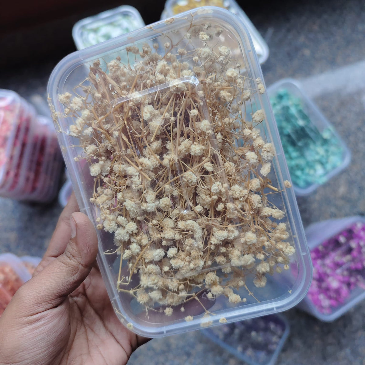 BABY BREATH BOX
