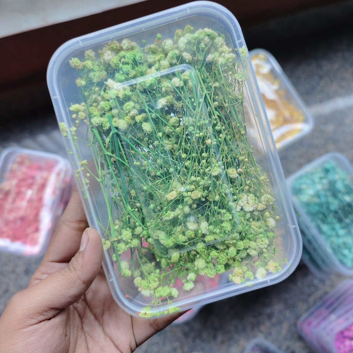 BABY BREATH BOX