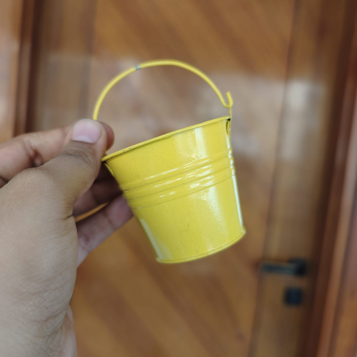 BUCKET (HOLI)