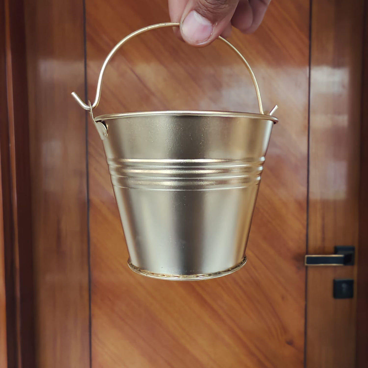 BUCKET (HOLI)