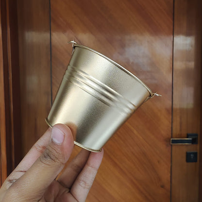 BUCKET (HOLI)