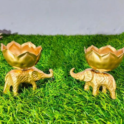 ELEPHANT URLI