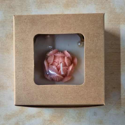 BOX 03 (4.25*4.25*2 INCH)